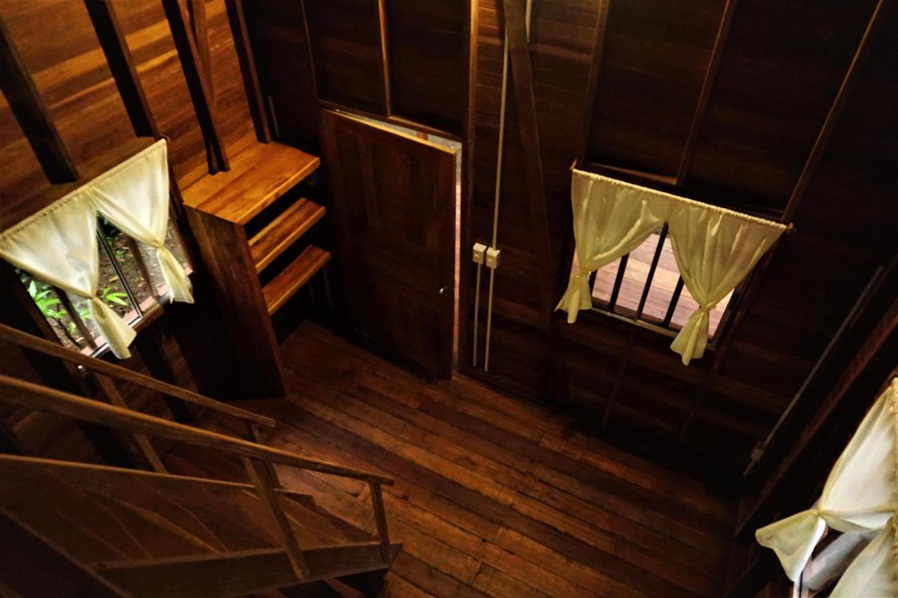 La Tarima Del Colibri Ecolodge El Valle  Dış mekan fotoğraf