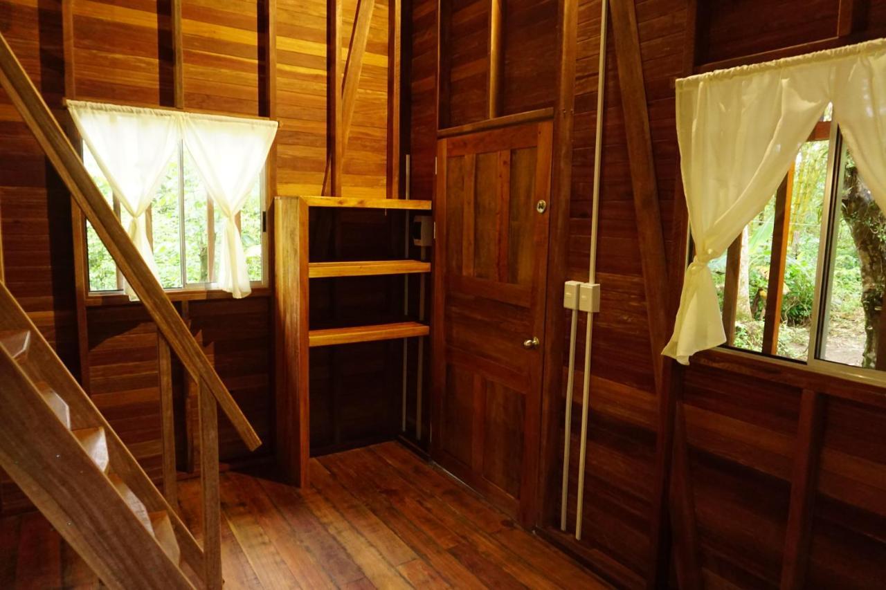 La Tarima Del Colibri Ecolodge El Valle  Dış mekan fotoğraf