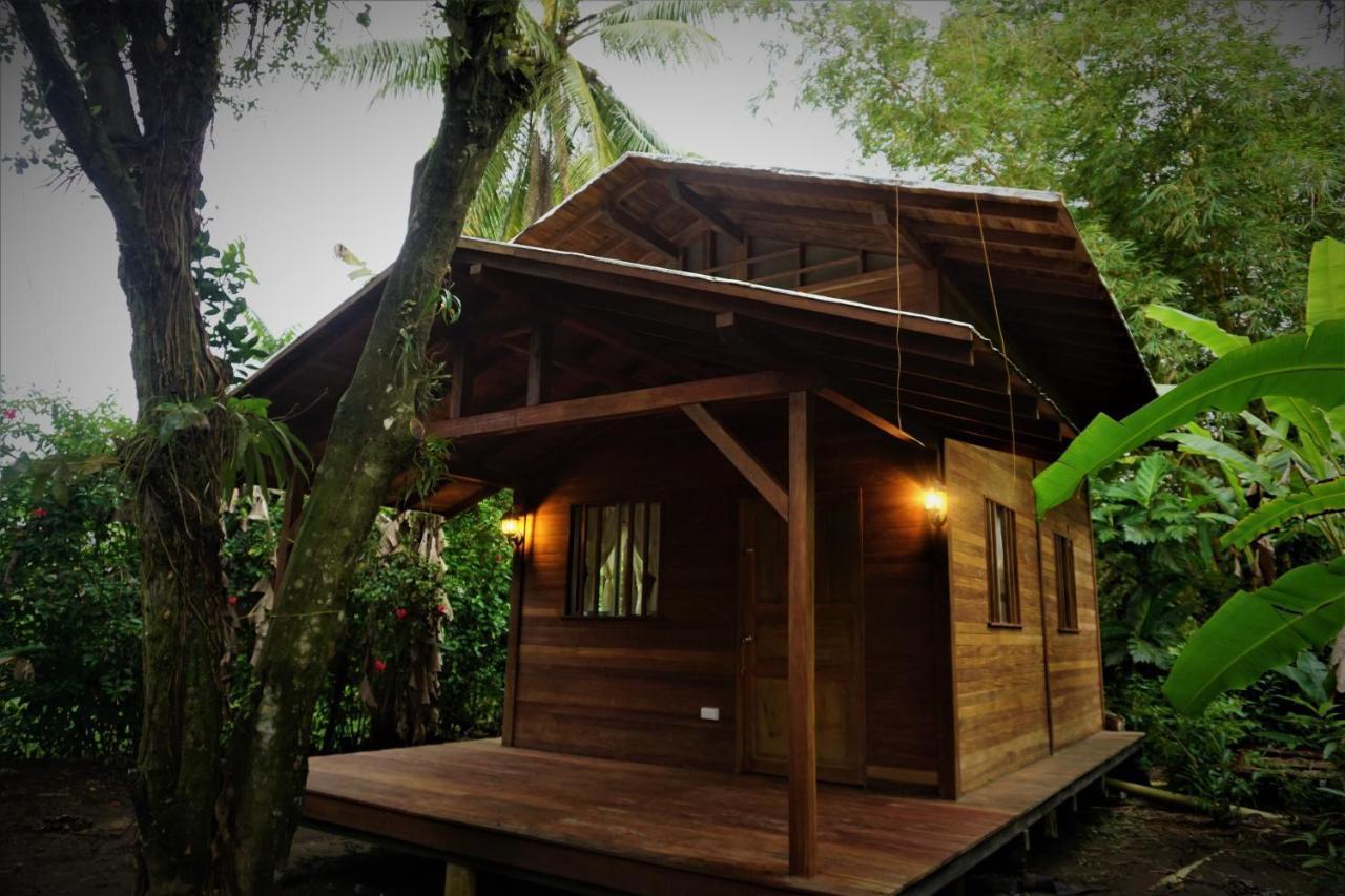 La Tarima Del Colibri Ecolodge El Valle  Dış mekan fotoğraf