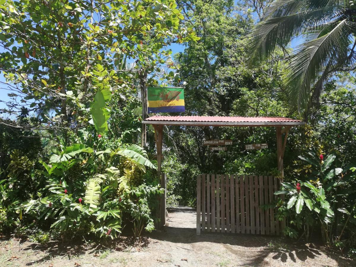 La Tarima Del Colibri Ecolodge El Valle  Dış mekan fotoğraf