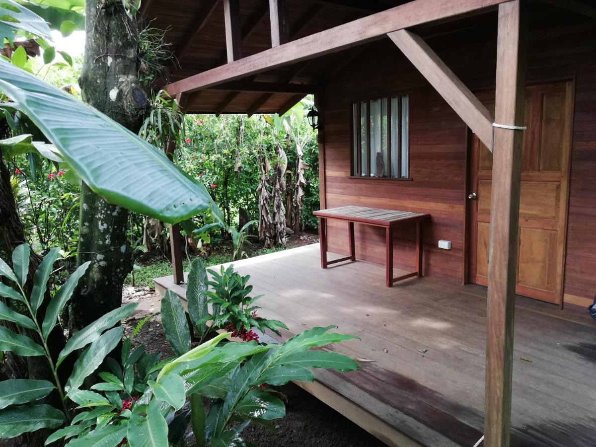 La Tarima Del Colibri Ecolodge El Valle  Dış mekan fotoğraf