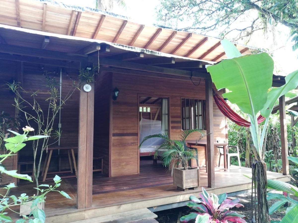 La Tarima Del Colibri Ecolodge El Valle  Dış mekan fotoğraf