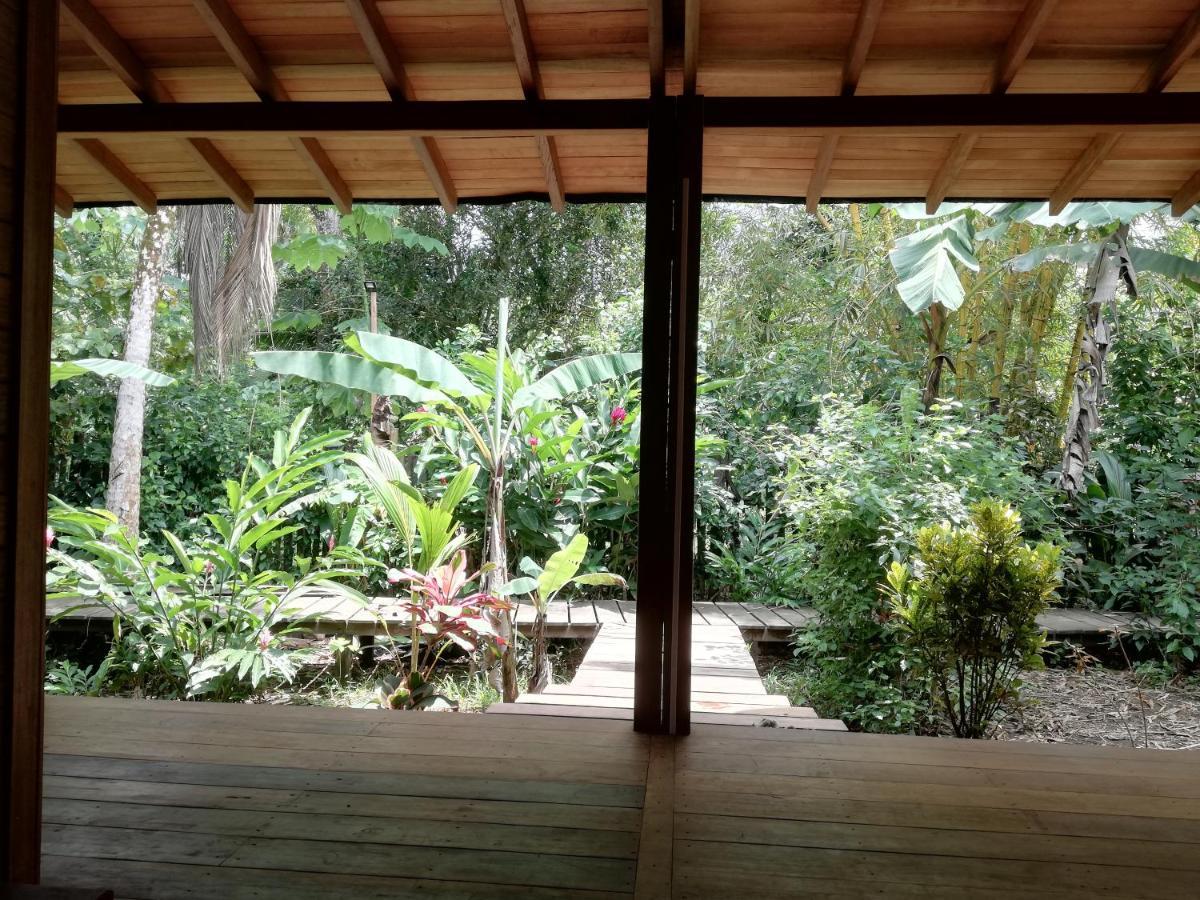 La Tarima Del Colibri Ecolodge El Valle  Dış mekan fotoğraf
