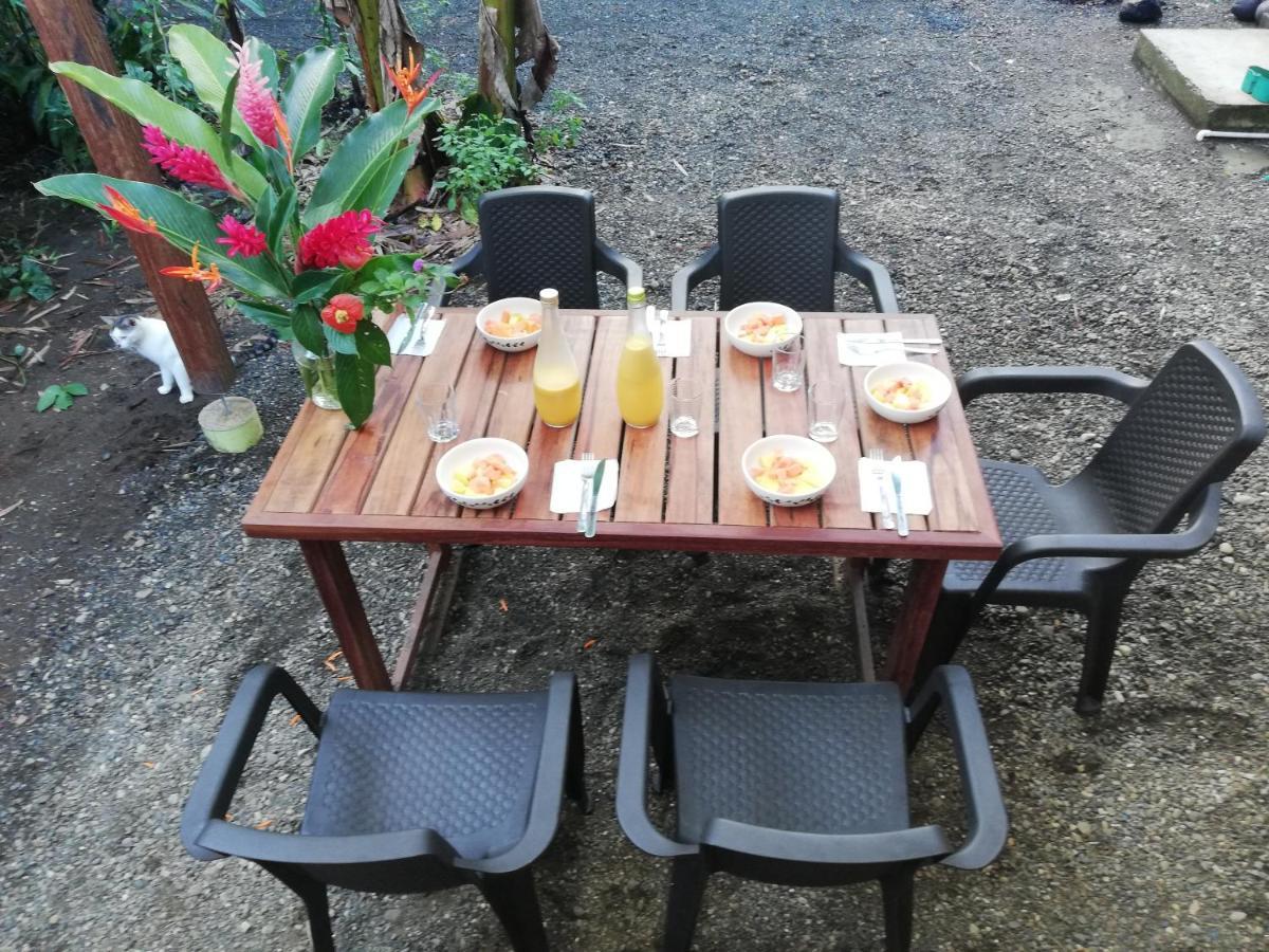 La Tarima Del Colibri Ecolodge El Valle  Dış mekan fotoğraf