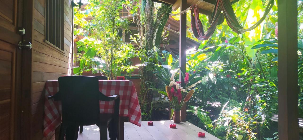 La Tarima Del Colibri Ecolodge El Valle  Dış mekan fotoğraf