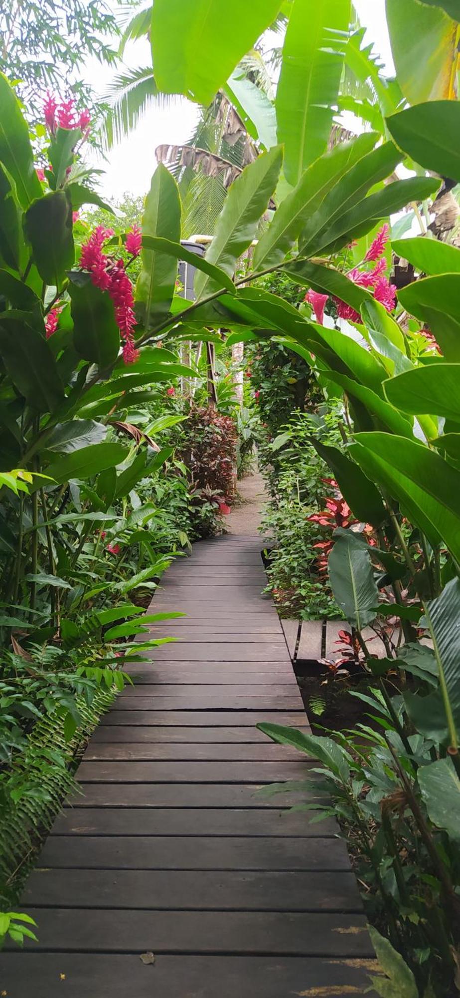 La Tarima Del Colibri Ecolodge El Valle  Dış mekan fotoğraf