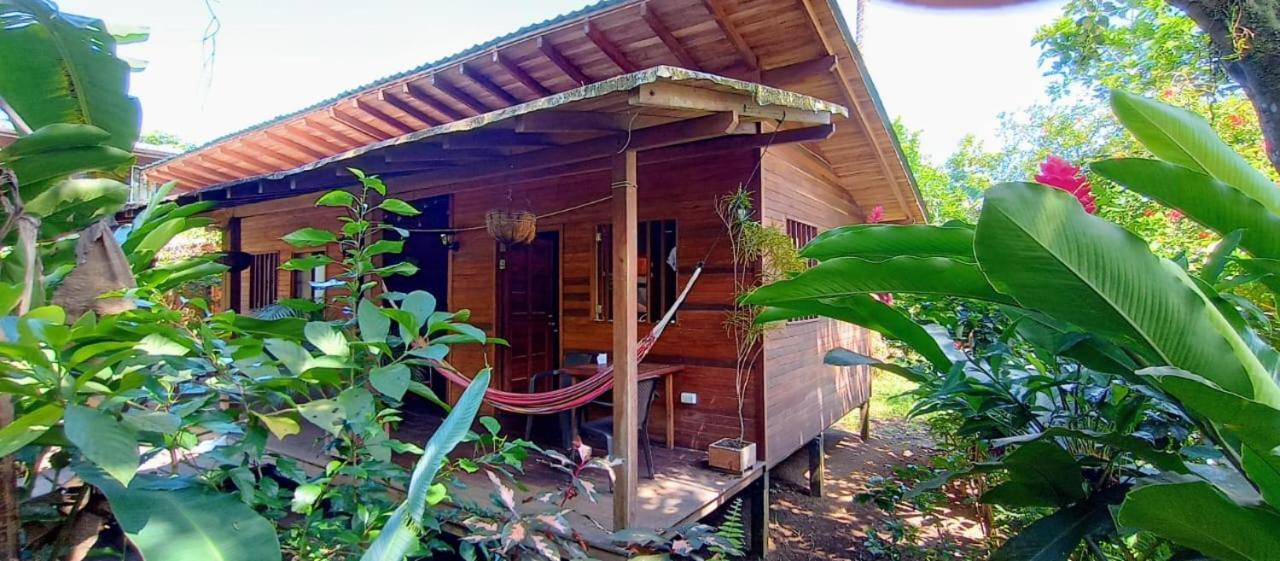 La Tarima Del Colibri Ecolodge El Valle  Dış mekan fotoğraf