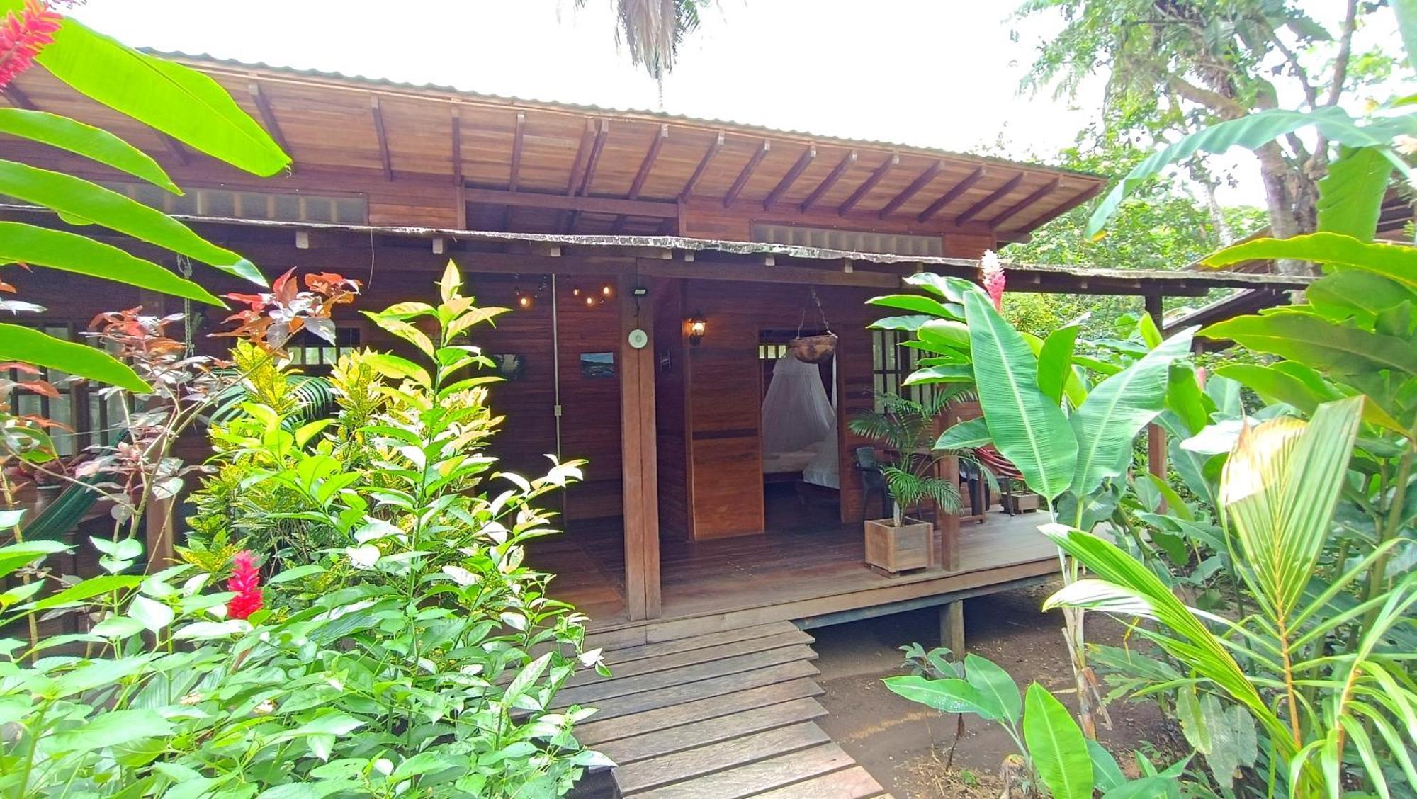 La Tarima Del Colibri Ecolodge El Valle  Dış mekan fotoğraf