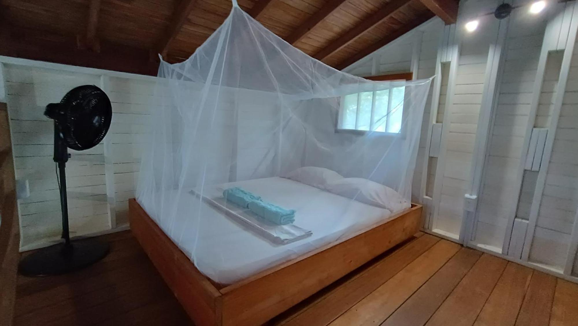 La Tarima Del Colibri Ecolodge El Valle  Dış mekan fotoğraf