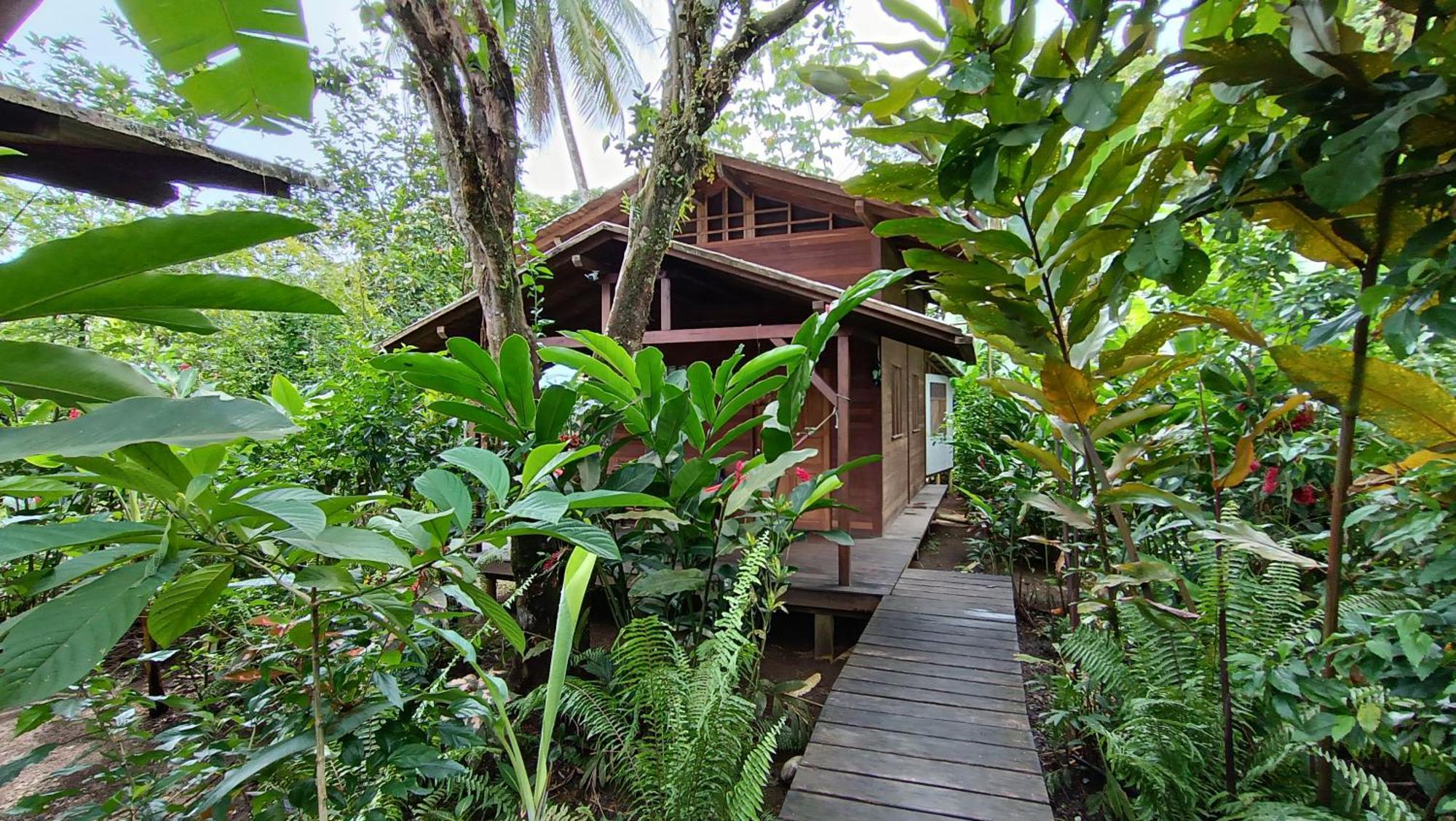 La Tarima Del Colibri Ecolodge El Valle  Dış mekan fotoğraf