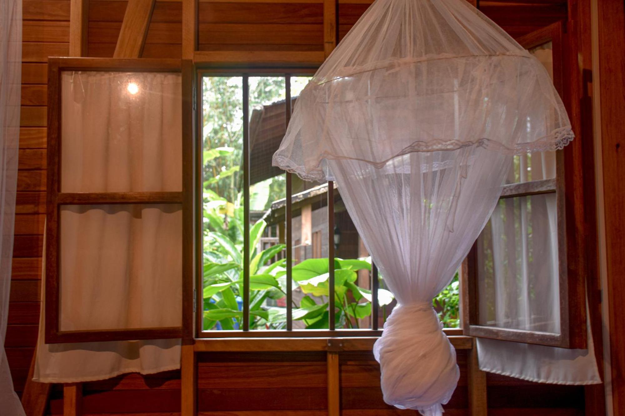 La Tarima Del Colibri Ecolodge El Valle  Dış mekan fotoğraf
