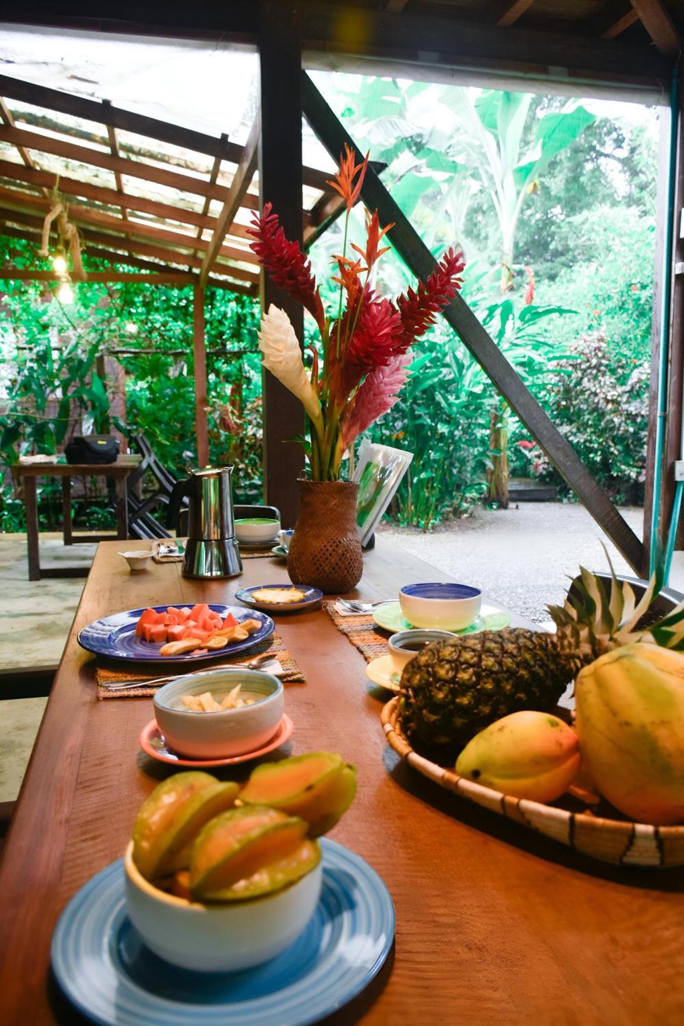 La Tarima Del Colibri Ecolodge El Valle  Dış mekan fotoğraf