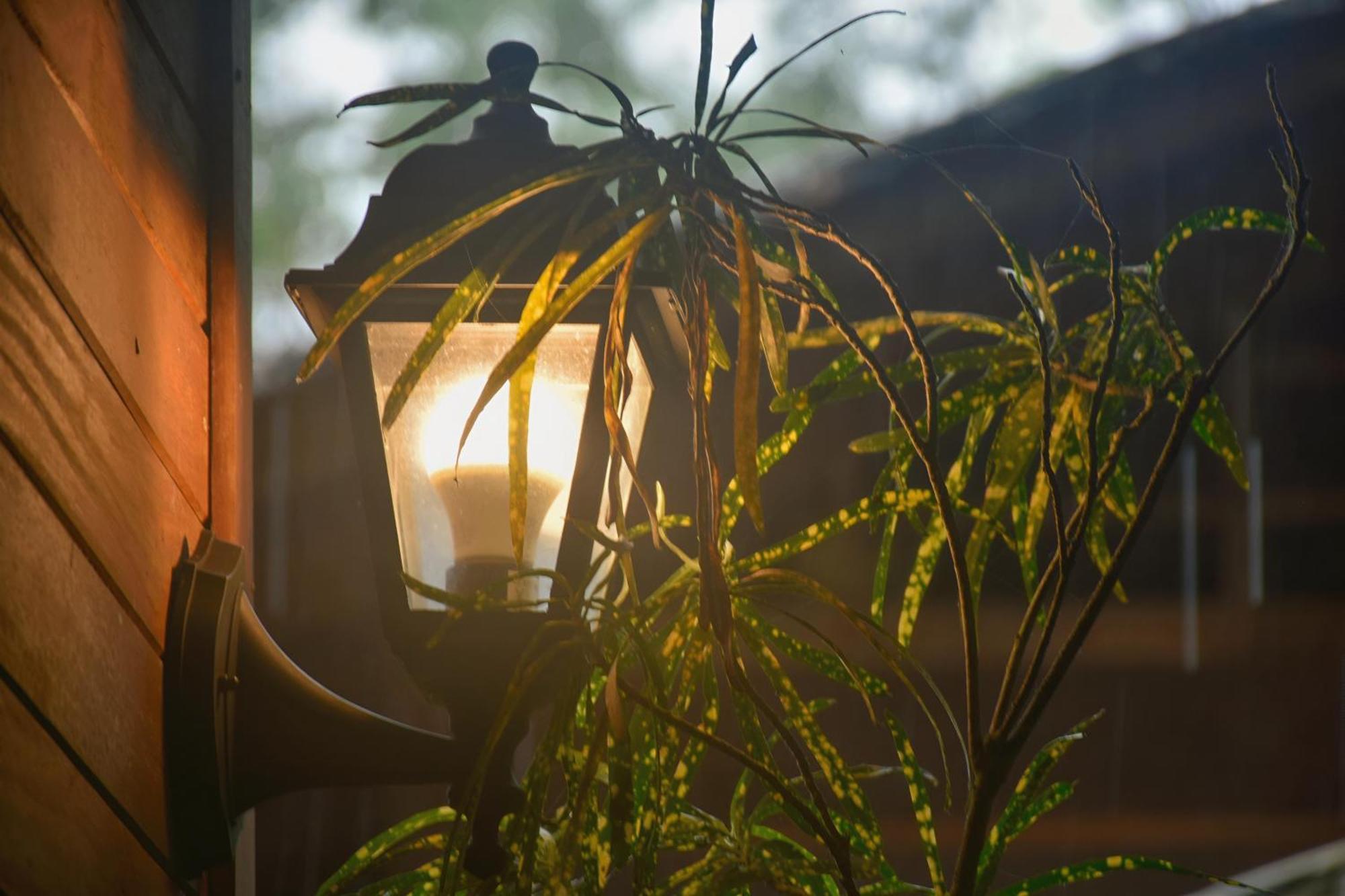 La Tarima Del Colibri Ecolodge El Valle  Dış mekan fotoğraf