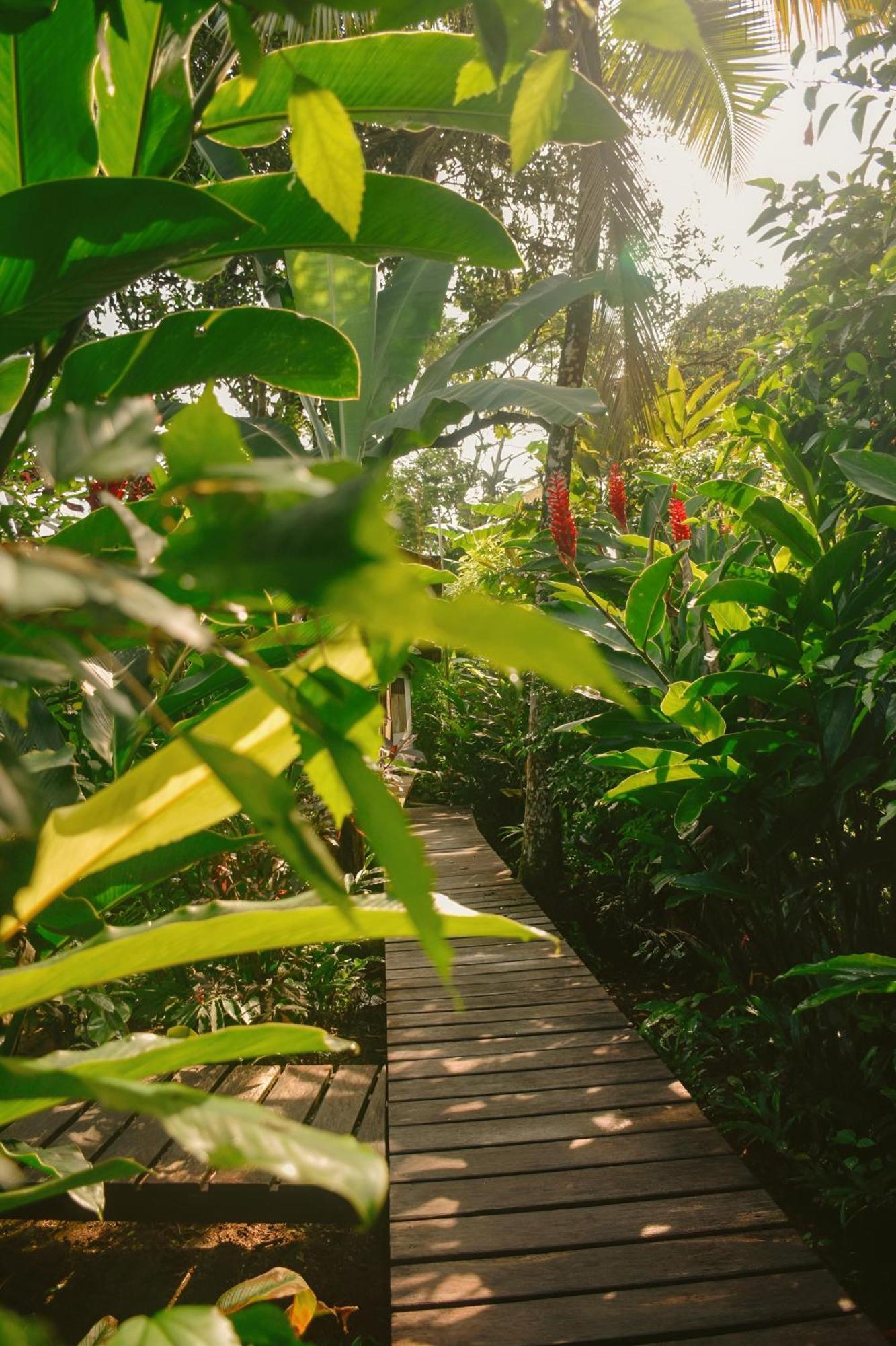 La Tarima Del Colibri Ecolodge El Valle  Dış mekan fotoğraf