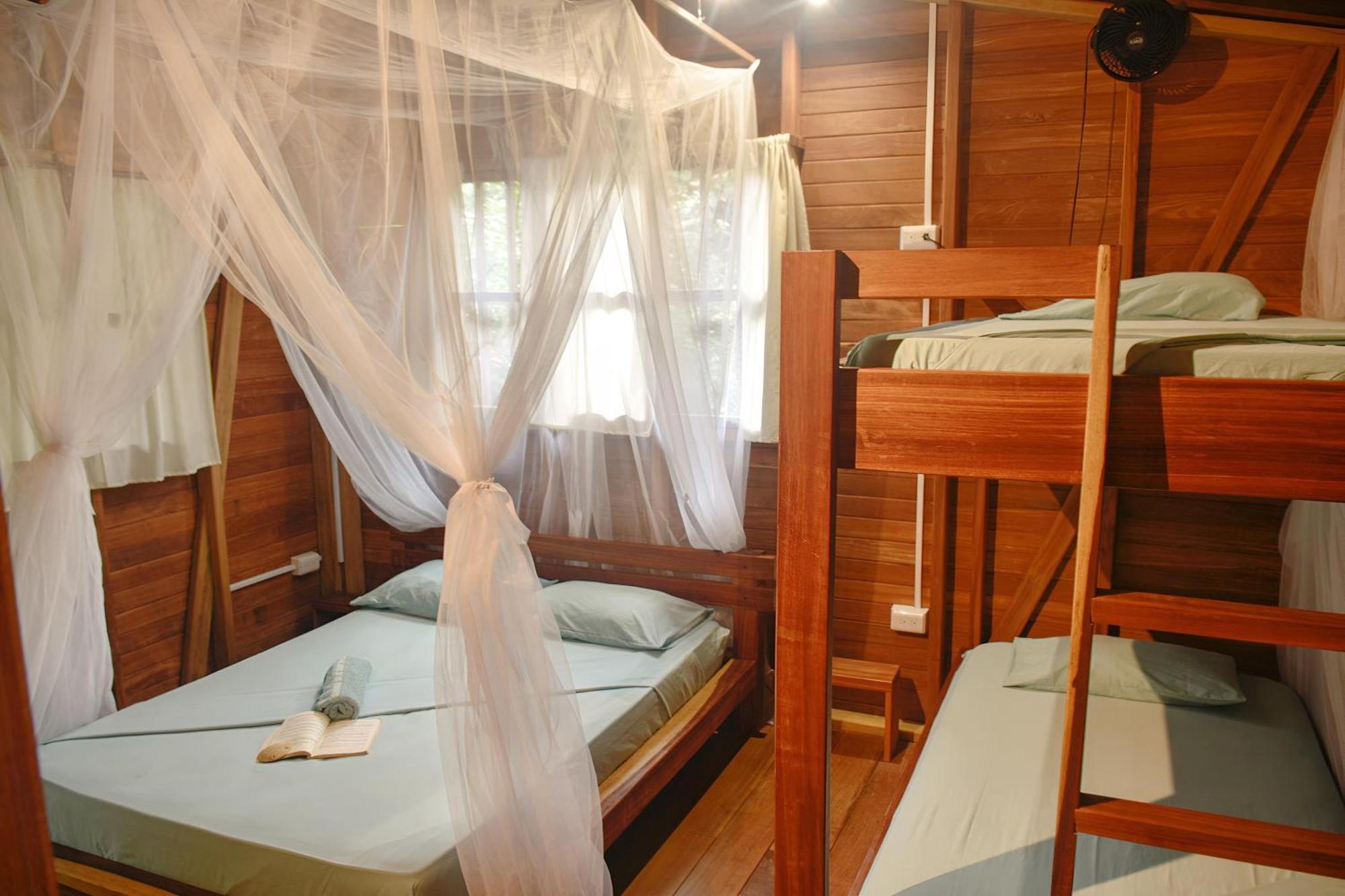 La Tarima Del Colibri Ecolodge El Valle  Dış mekan fotoğraf