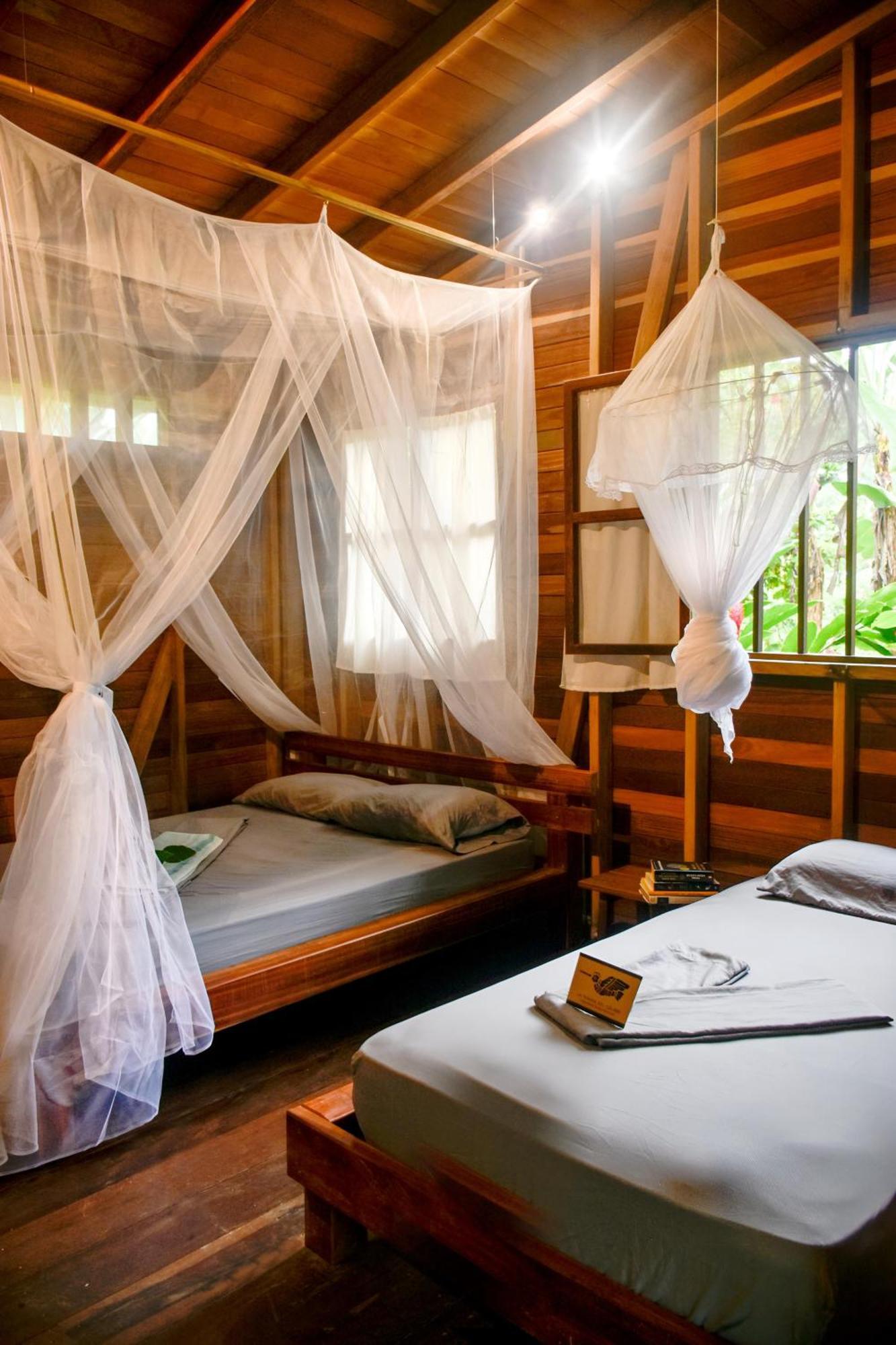La Tarima Del Colibri Ecolodge El Valle  Dış mekan fotoğraf