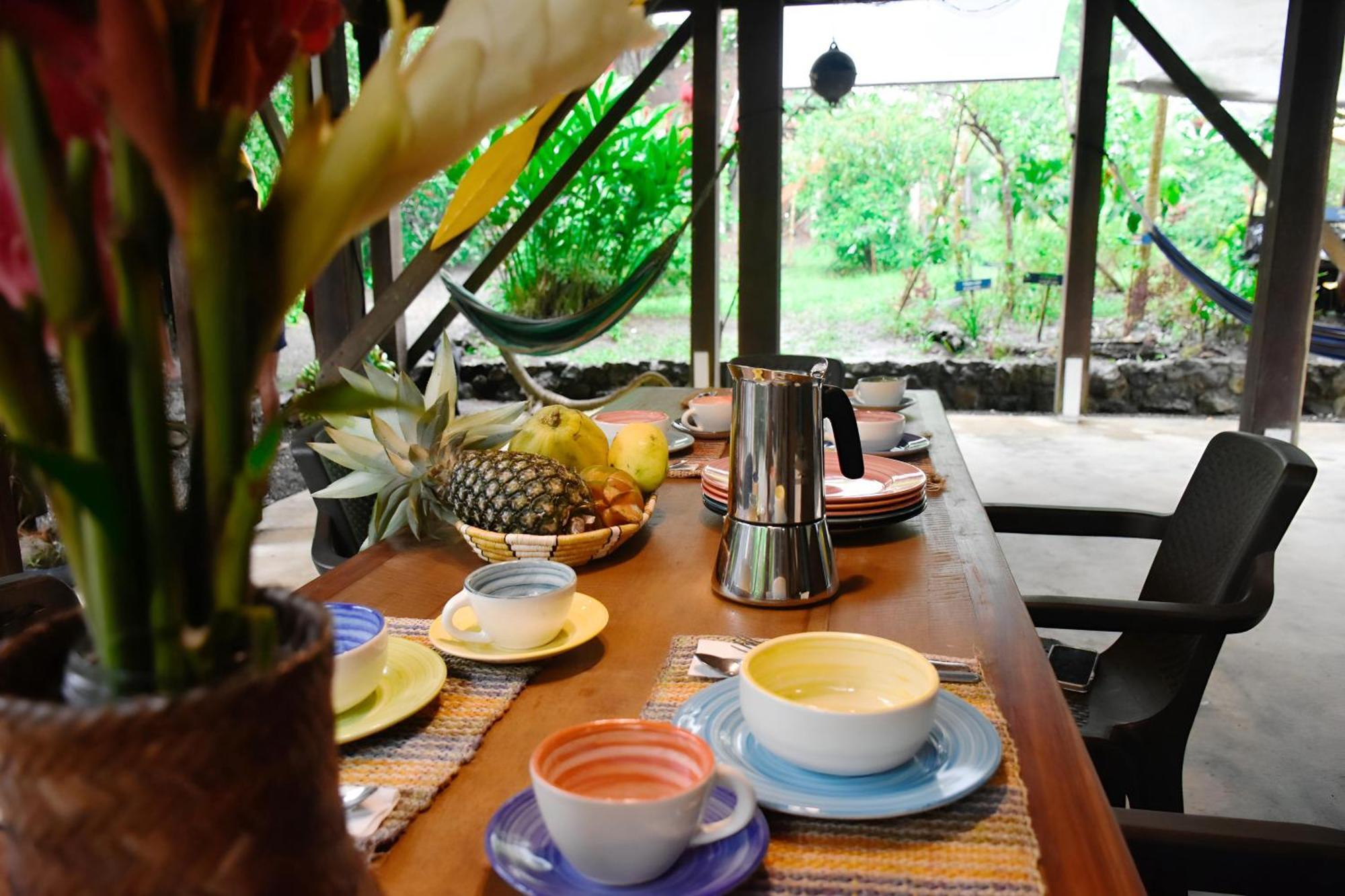 La Tarima Del Colibri Ecolodge El Valle  Dış mekan fotoğraf