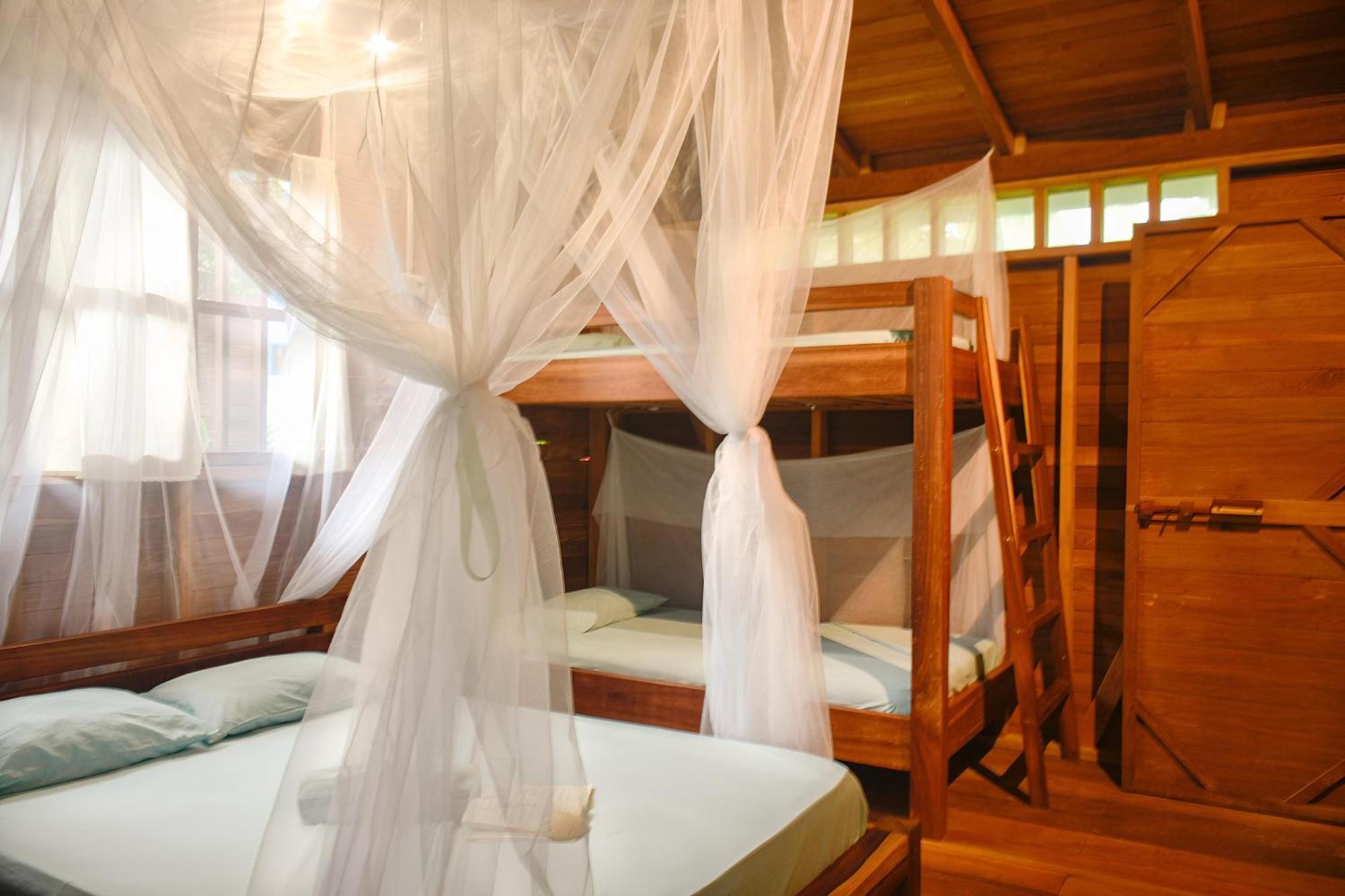 La Tarima Del Colibri Ecolodge El Valle  Dış mekan fotoğraf