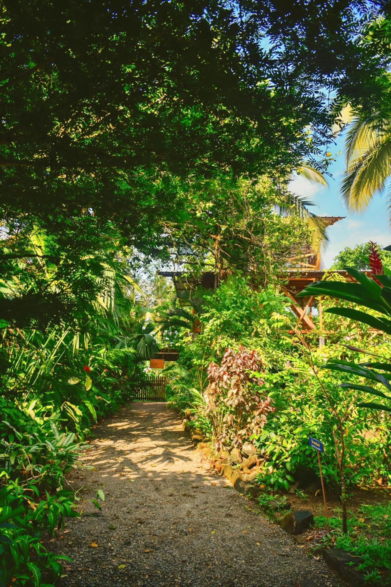 La Tarima Del Colibri Ecolodge El Valle  Dış mekan fotoğraf