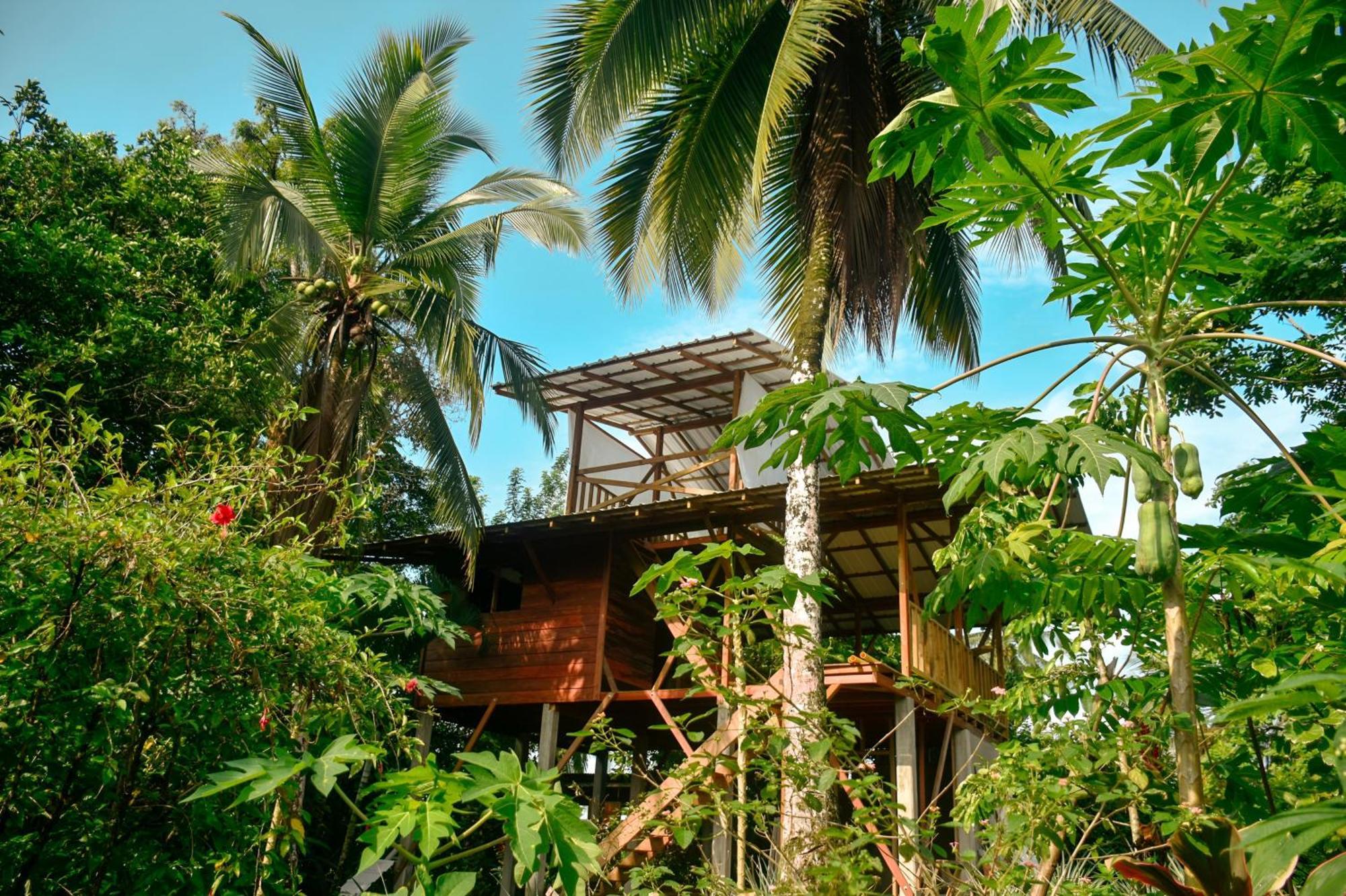 La Tarima Del Colibri Ecolodge El Valle  Dış mekan fotoğraf